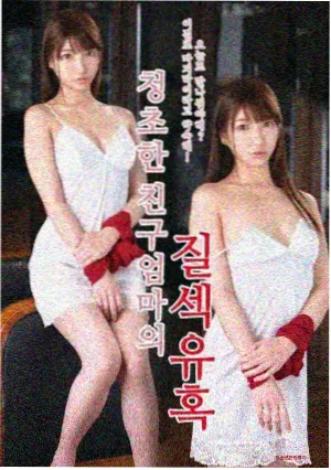 城市记忆旧巷与新城片库封面